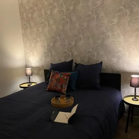 Au Centre Ville, Place Jean Moulin Appartement *
